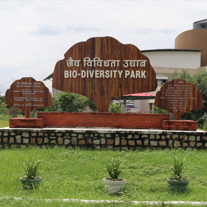 Bio Diversity Park