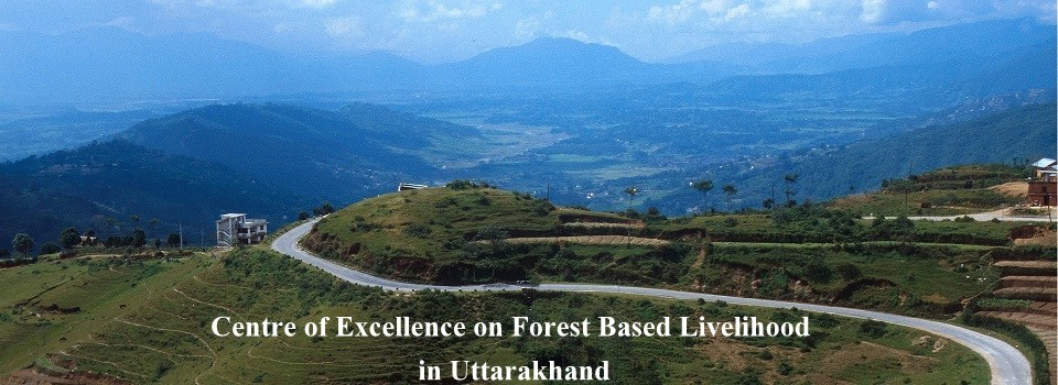 Centre of Excellence on Forest Based Livelihood in Uttarakhand